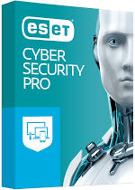 Cyber Security Pro Bild